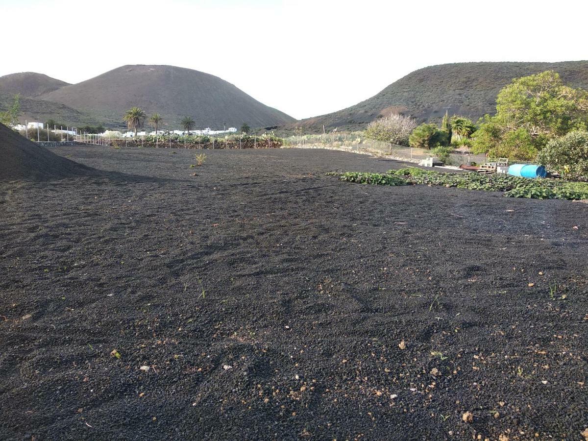 Finca La Tabaiba Máguez Eksteriør bilde